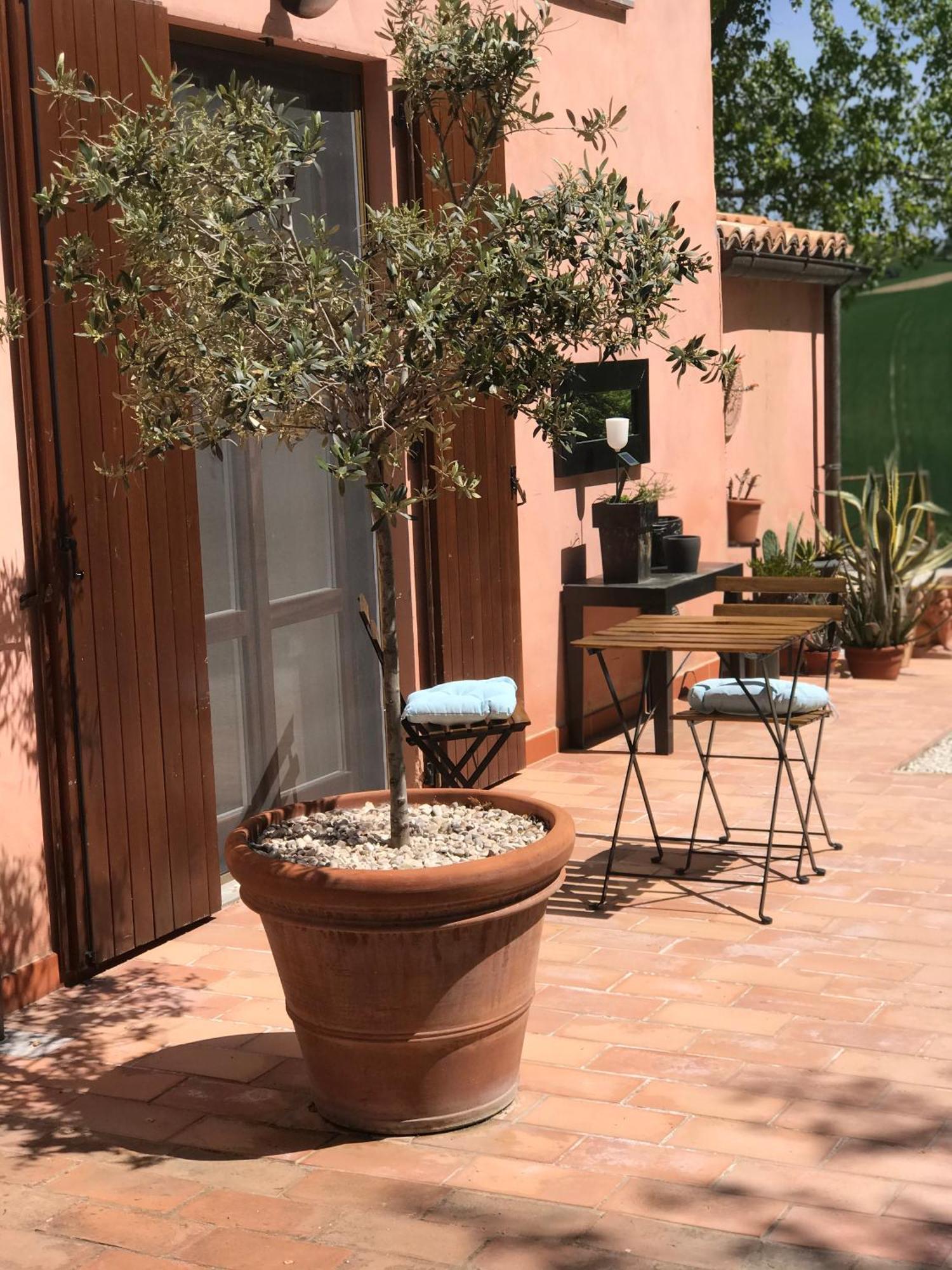 Bed and Breakfast Il Posto Perfetto Santa Maria Nuova  Zewnętrze zdjęcie