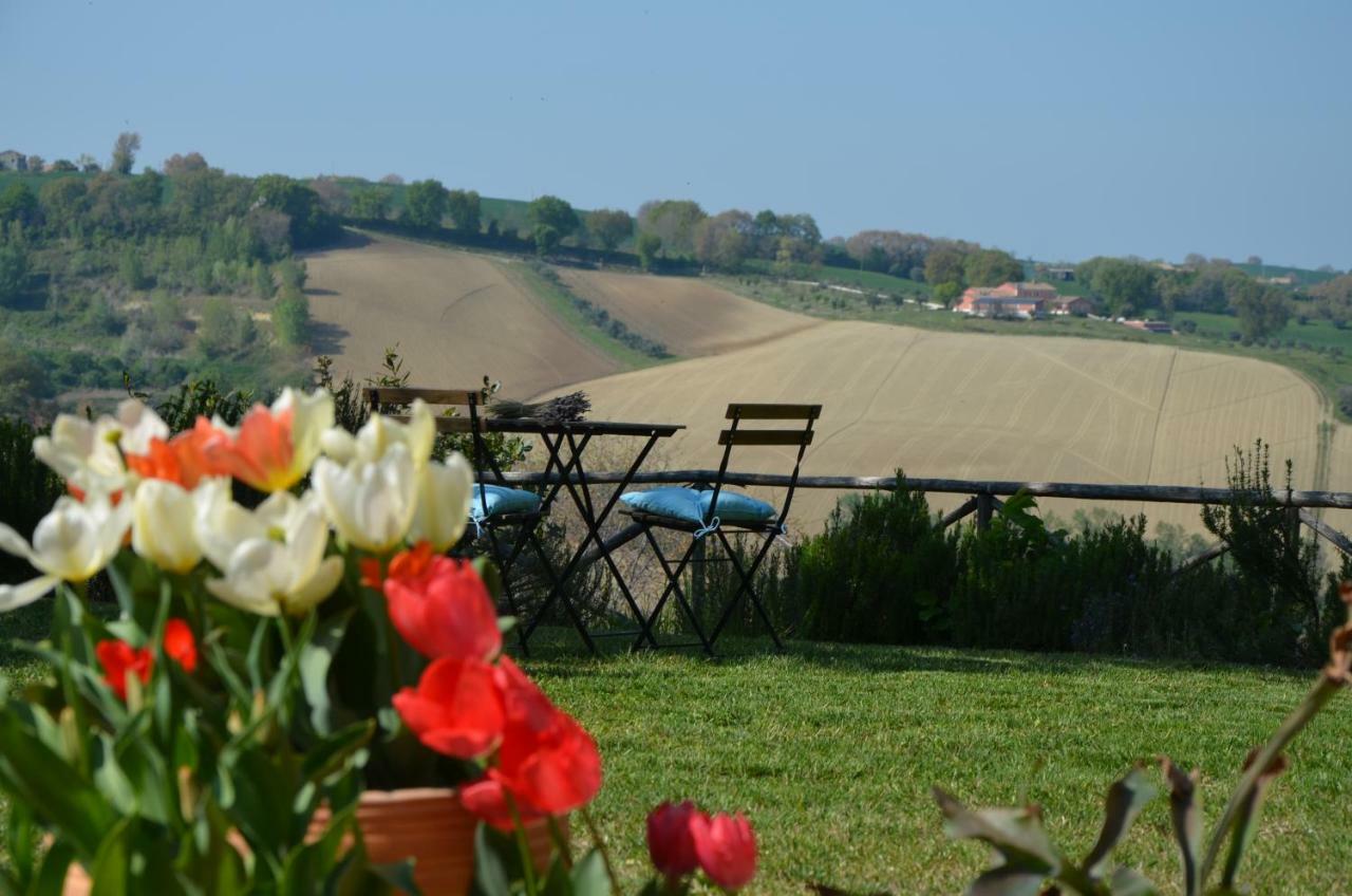 Bed and Breakfast Il Posto Perfetto Santa Maria Nuova  Zewnętrze zdjęcie