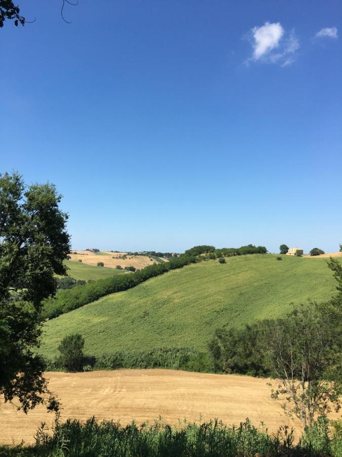 Bed and Breakfast Il Posto Perfetto Santa Maria Nuova  Zewnętrze zdjęcie